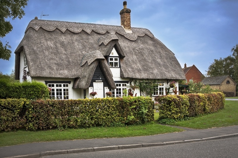 Thatched Roof